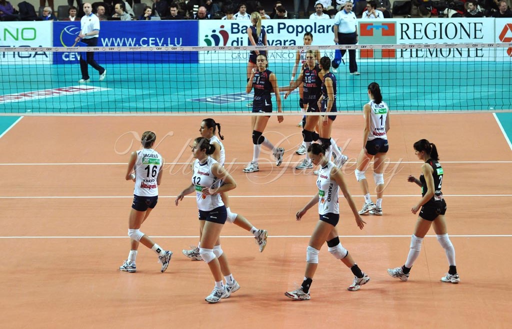 Asystel NO Muszynianka (03)